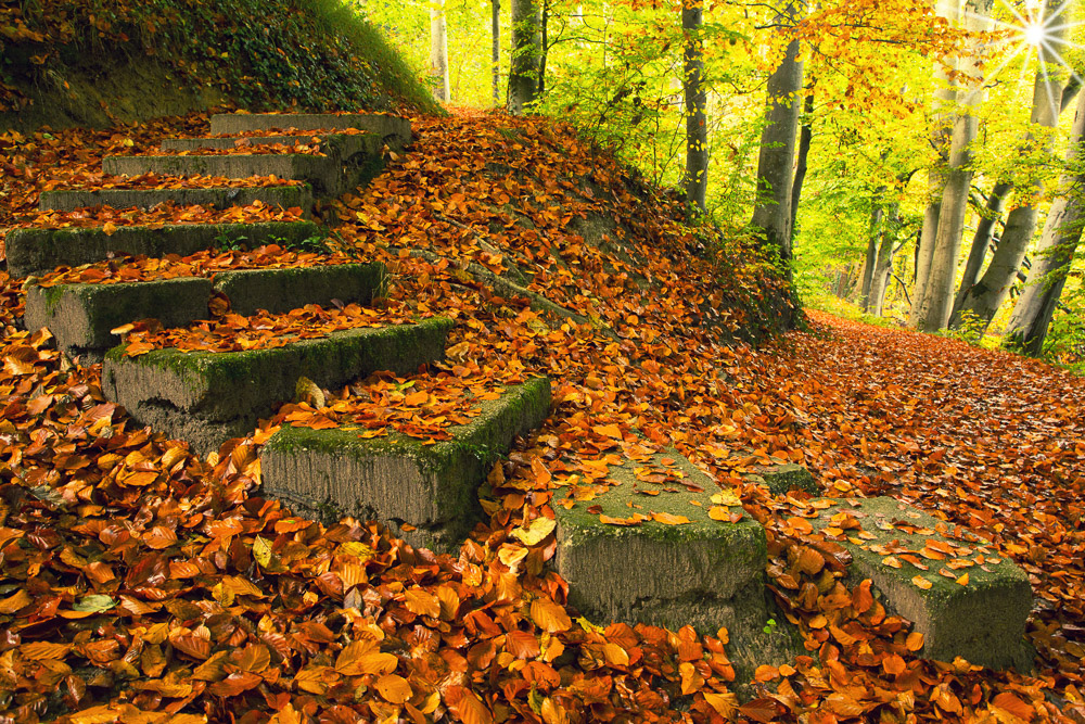 Platz 8 Willi Bitzer